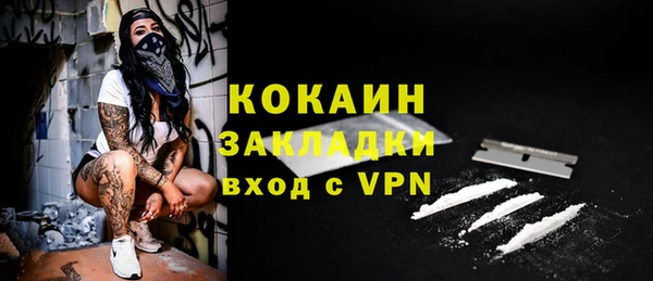 тгк Дмитров