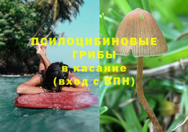 таблы Алексин