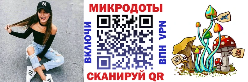 omg как войти  Каневская  Псилоцибиновые грибы GOLDEN TEACHER 